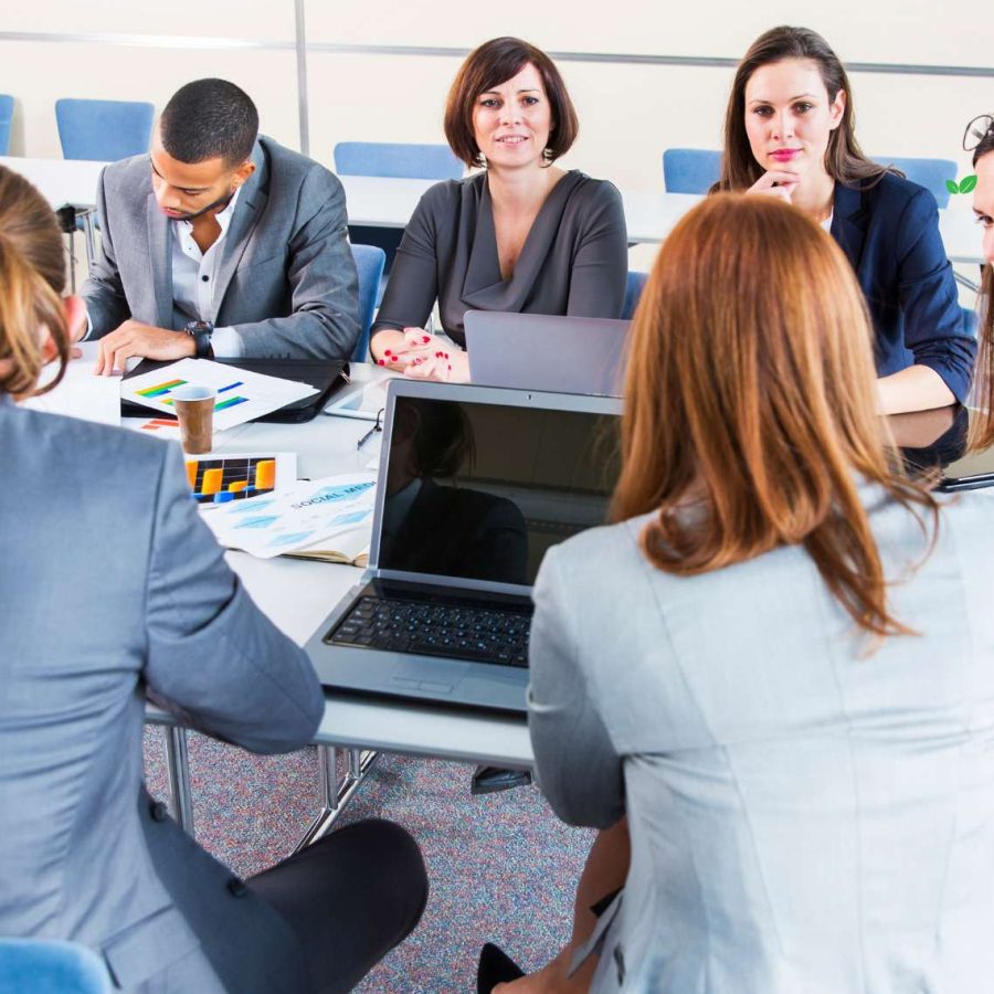 Paradise Doors - website Images - April 2025 (1300 x 1900 px) (1)